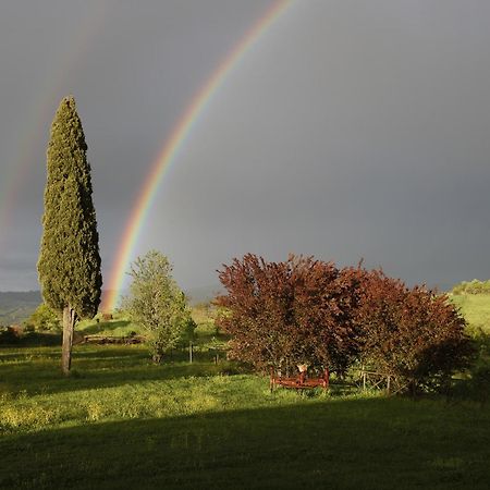 Agriturismo Spazzavento Palazzone Luaran gambar