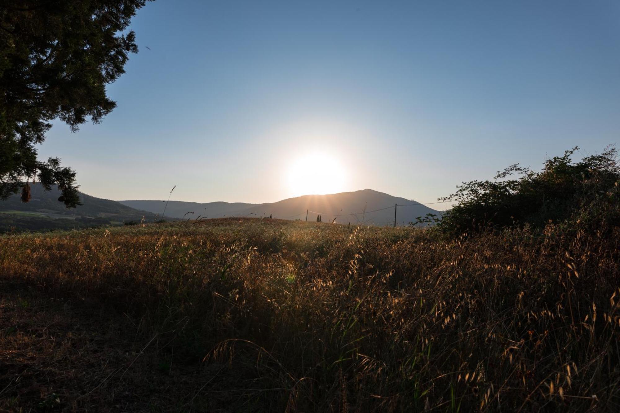 Agriturismo Spazzavento Palazzone Luaran gambar