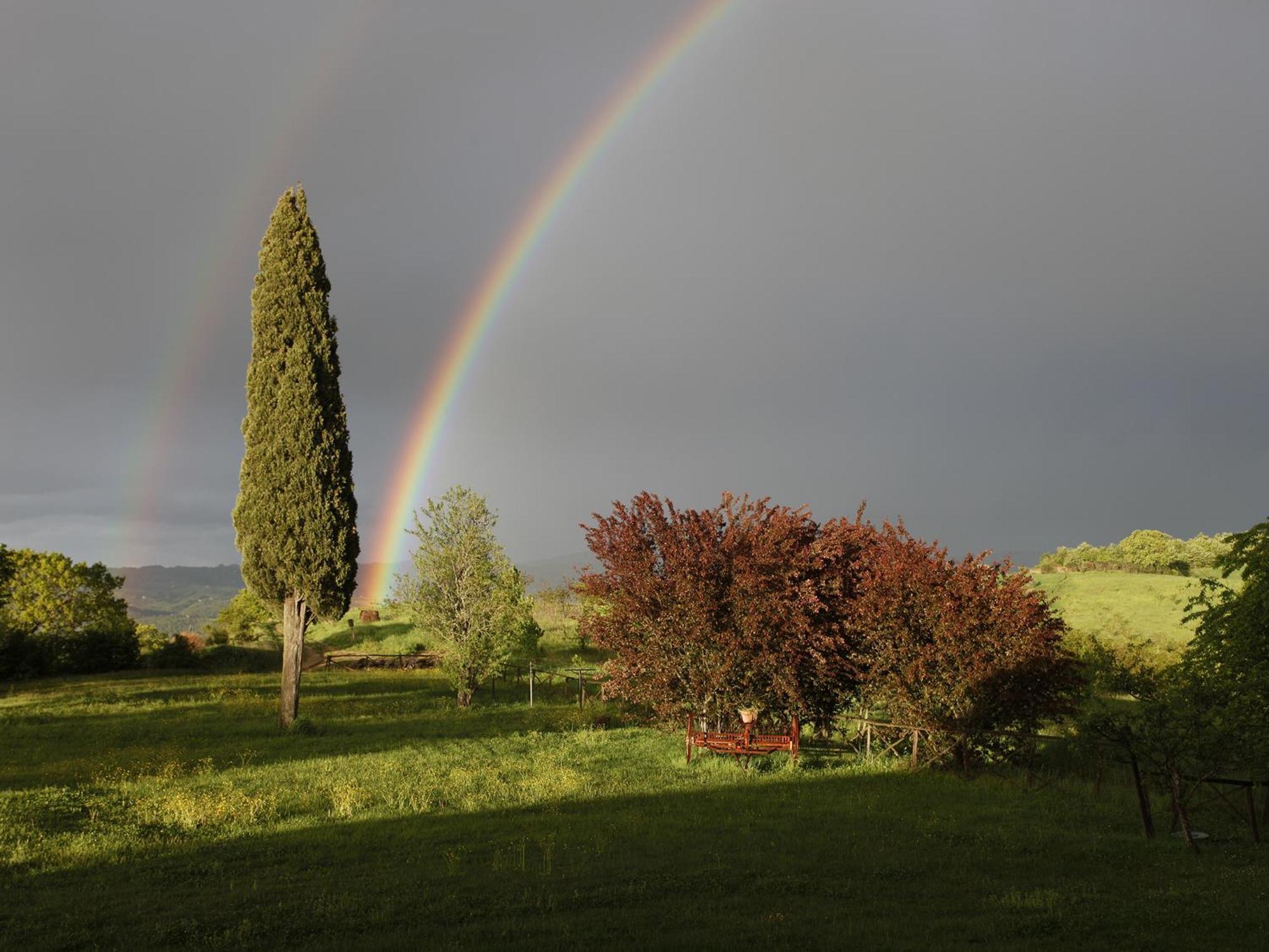 Agriturismo Spazzavento Palazzone Luaran gambar